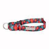 Red poinsettia-themed martingale dog collar by Lucky Love Dog Austin with festive holiday pattern.