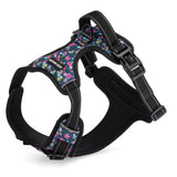 Easy Walker Primrose Harness