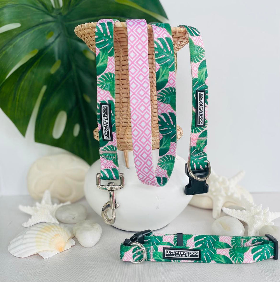 Tropical-themed dog collars and leash with green monstera leaves and pink geometric patterns