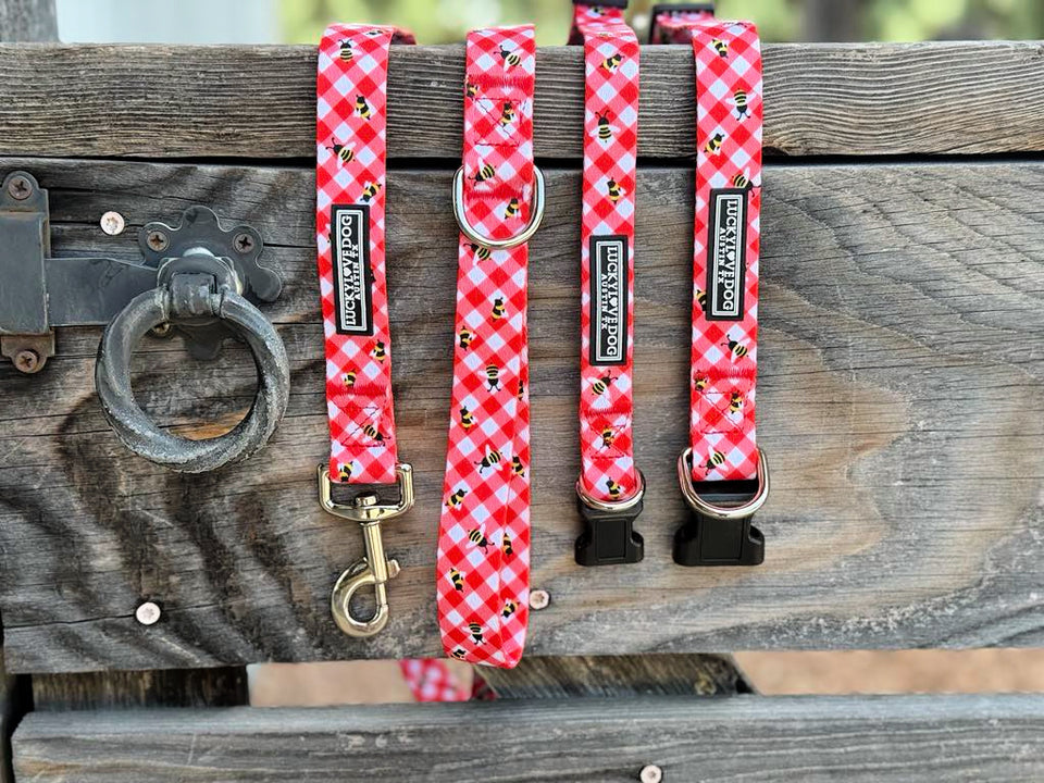 Bailey Dog Collar and Leash Wholesale