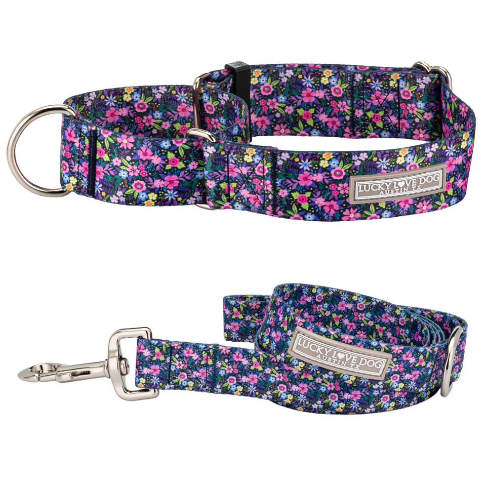 WIDE Primrose Martingale Collar