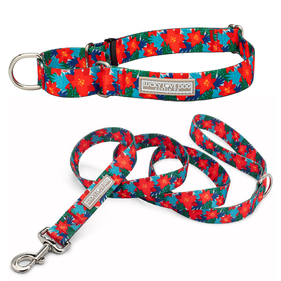 Red poinsettia-themed martingale dog collar and matching leash by Lucky Love Dog Austin with festive holiday pattern.