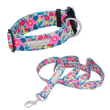 WIDE Valentina Collar
