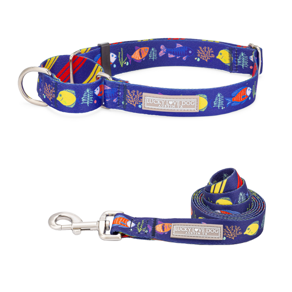 Mackey Martingale