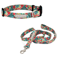 Green dog collar and leash set with a red berry and foliage pattern.