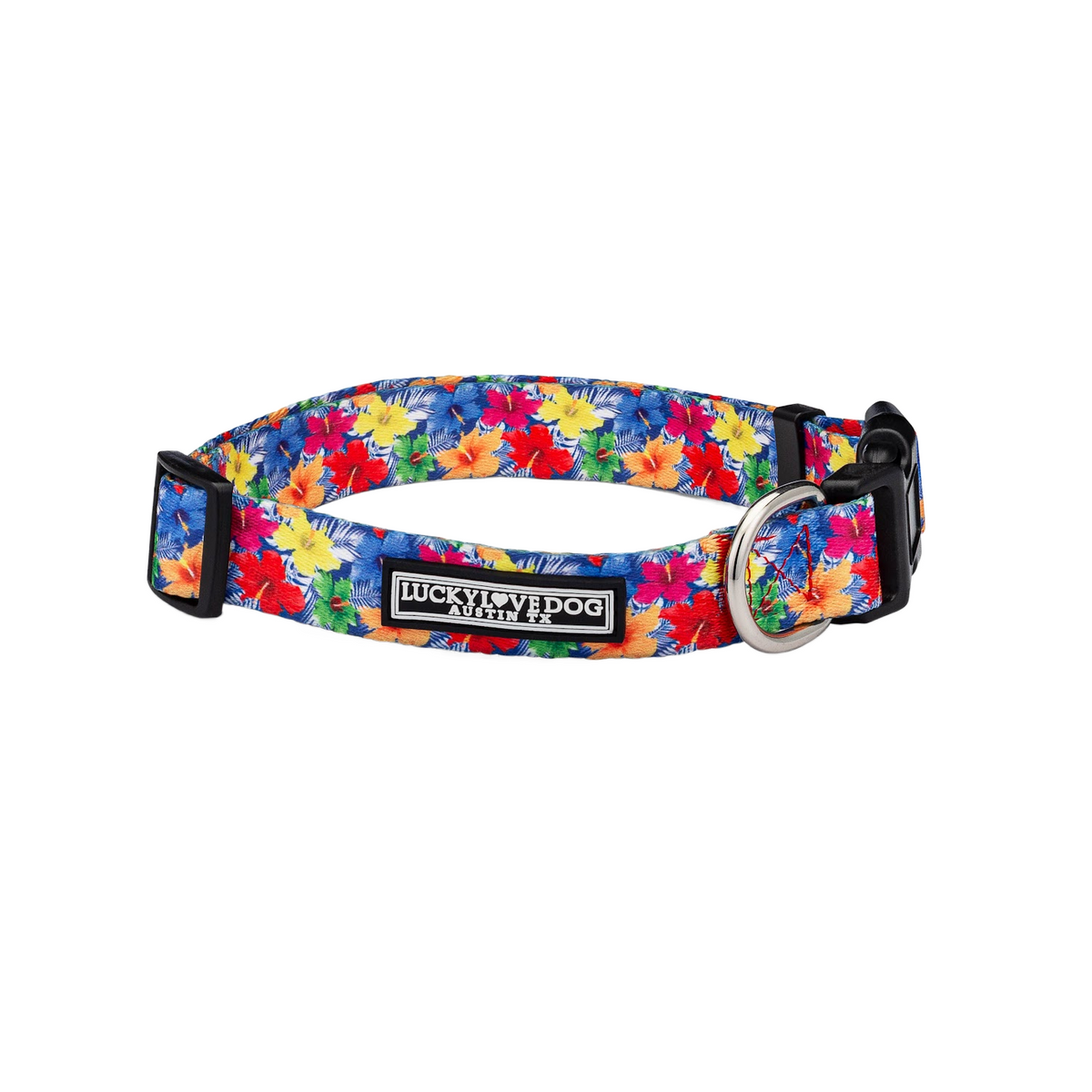 Bright blue dog collar with a colorful tropical hibiscus flower pattern.