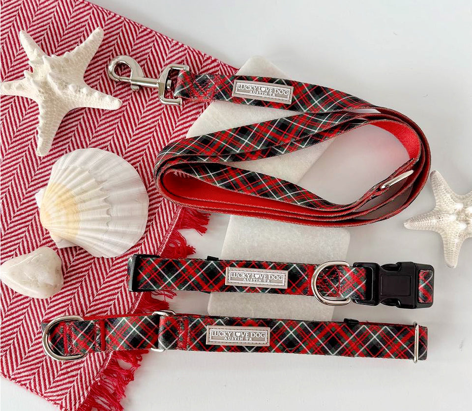Festive red plaid dog accessories arranged with shells and starfish.