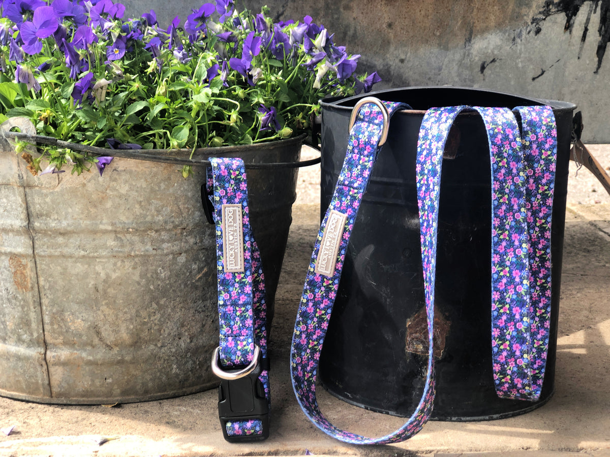 Purple floral dog collar and matching leash set by Lucky Love Dog displayed outdoors alongside buckets and blooming pansies.