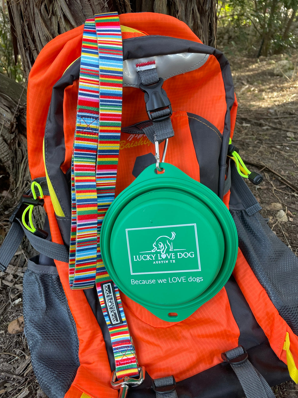 Grass Green Travel Dog Bowl Wholesale