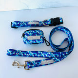 Jasper Complete Walking Set