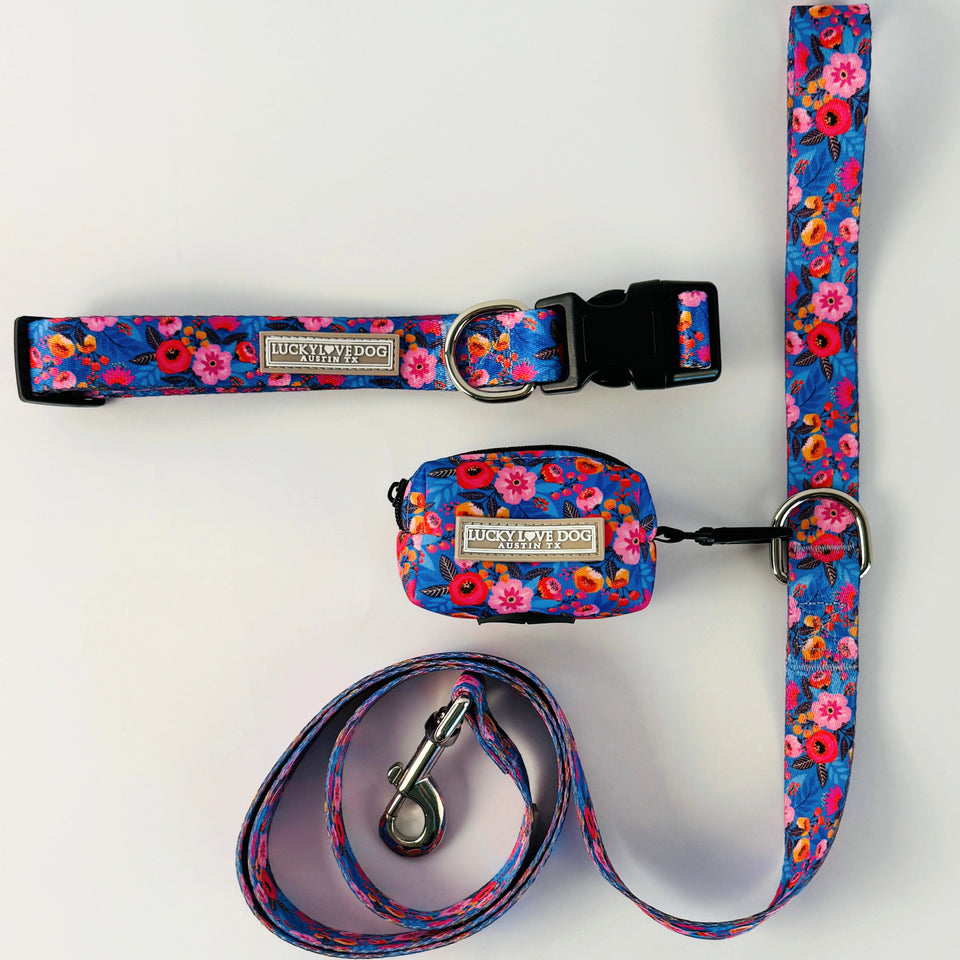 Zuzu Complete Walking Set