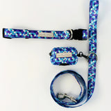 Jasper Complete Walking Set
