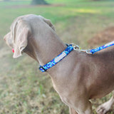 Jasper Complete Walking Set