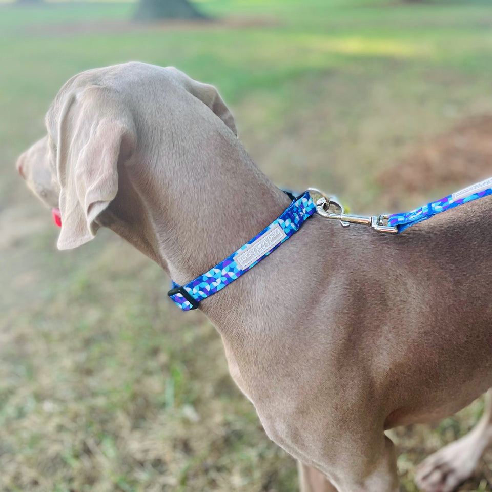 Jasper Complete Walking Set