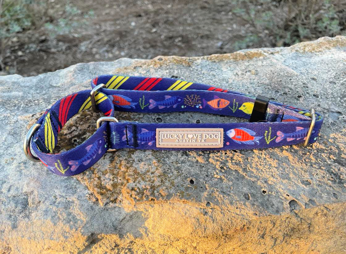 Mackey Martingale
