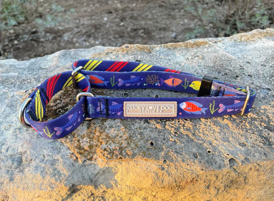 Mackey Martingale