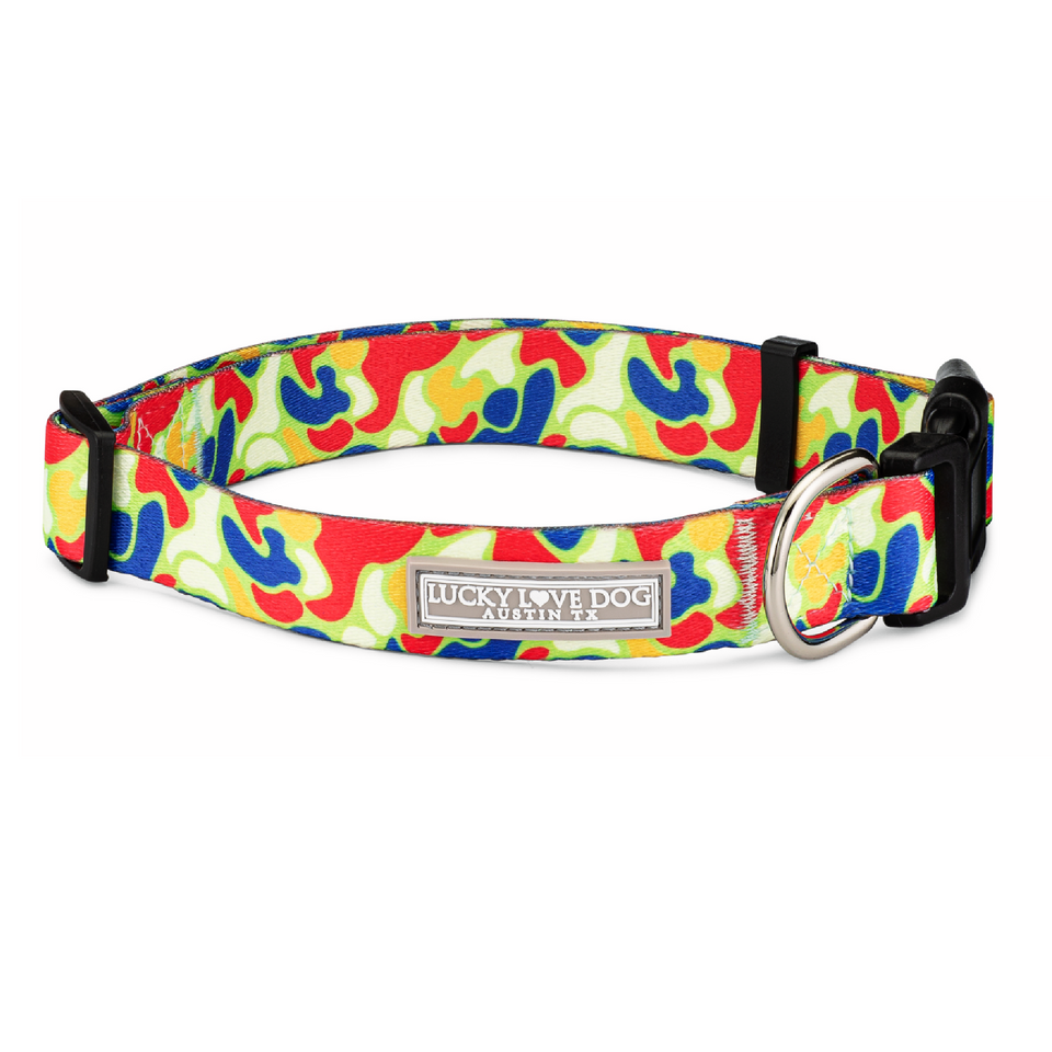 Colorful abstract-pattern dog collar with a Lucky Love Dog