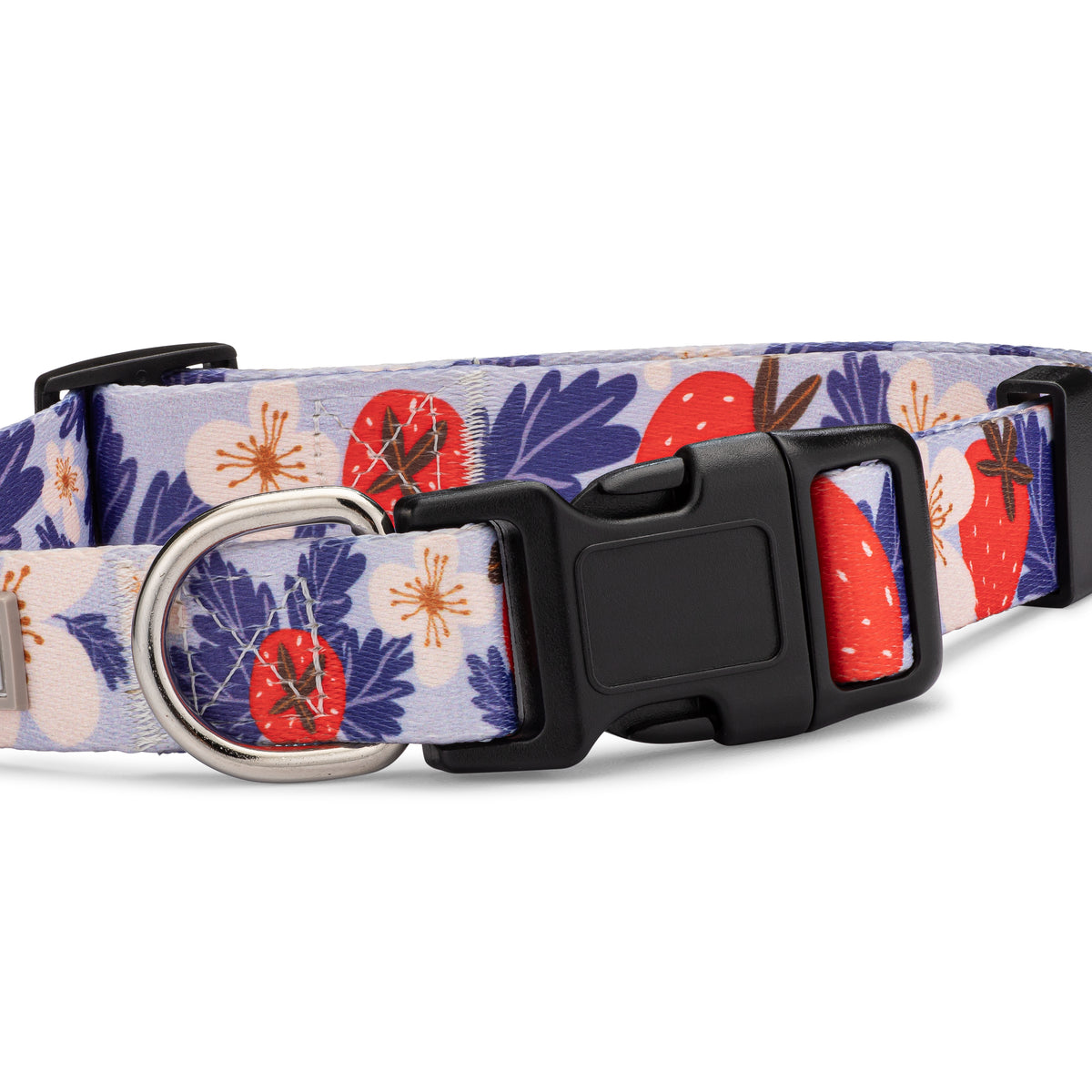 Strawberry and floral print dog collar with a black buckle.