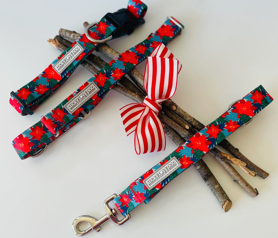 Red poinsettia-themed Lucky Love Dog collars and leash displayed with festive sticks and a striped holiday bow.