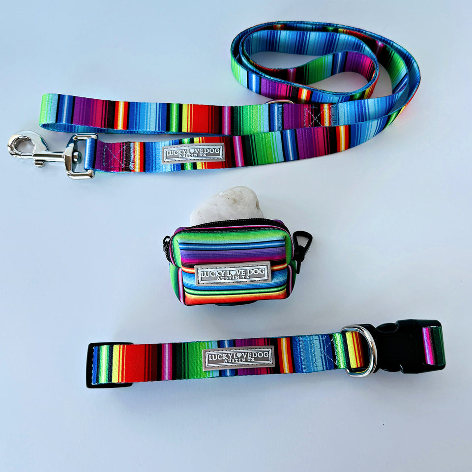 Colorful striped dog leash, collar, and pouch with 'Lucky Dog' branding on a light blue background.