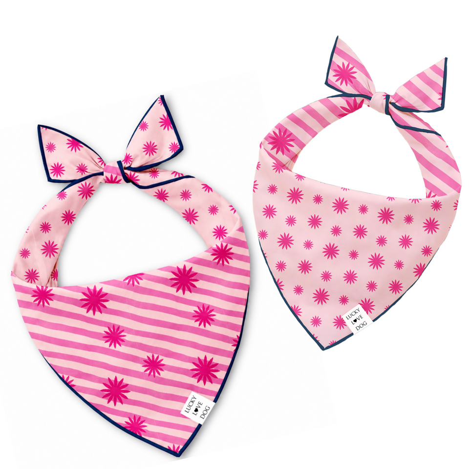 Two pink pet bandanas with bow details, displayed on a clean white background. One bandana features pink and white horizontal stripes with pink starburst patterns, and the other features pink and white vertical stripes with pink starburst patterns.