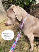Martingale Collar Bundle - Wholesale