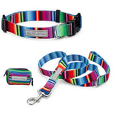 Nacho Dog Collar