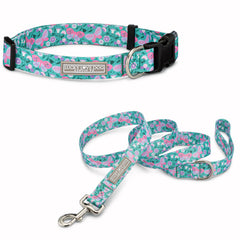 green dog collar and leash with butterflies