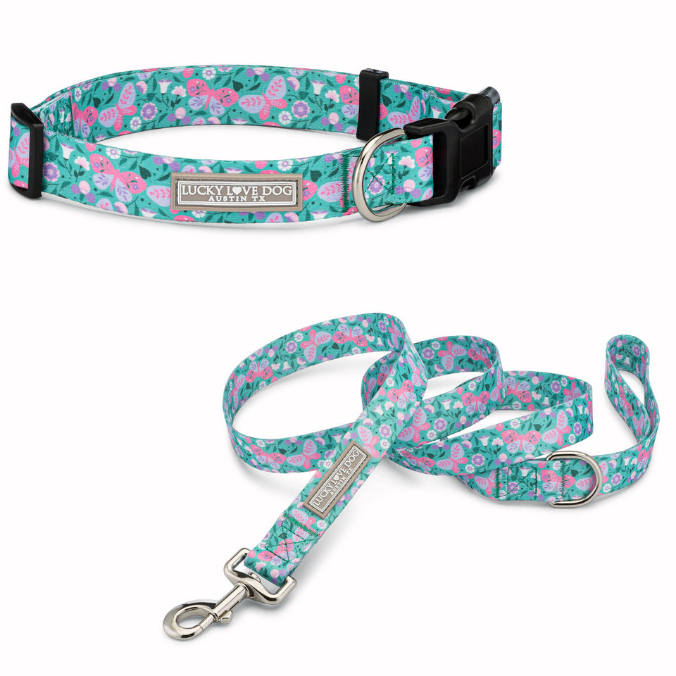 green dog collar and leash with butterflies