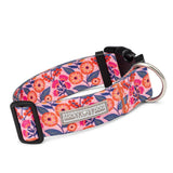 Wide Collar Bundle - Wholesale