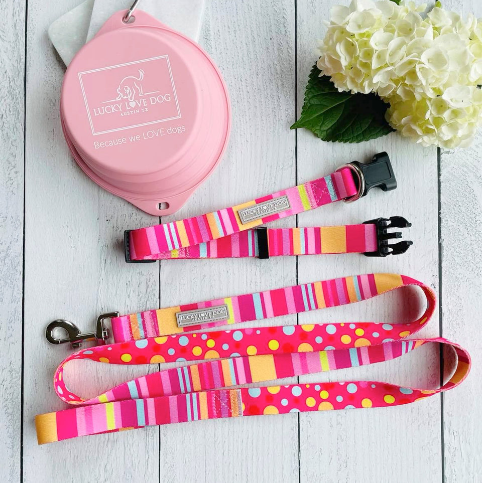 Molly Dog Collar