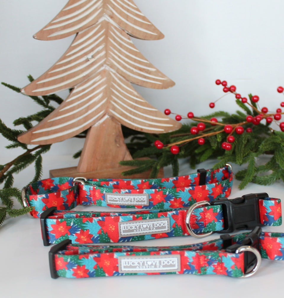 Red poinsettia-themed Lucky Love Dog collars displayed with festive greenery and wooden Christmas décor.