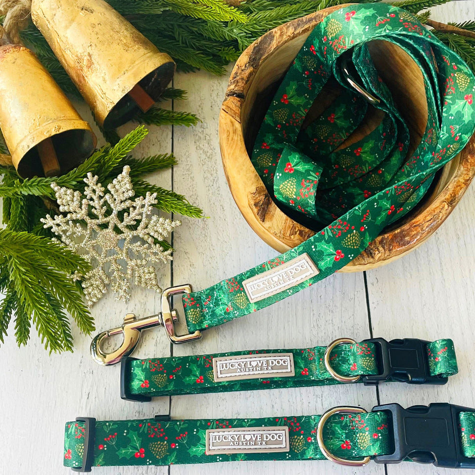 christmas holly dog collar