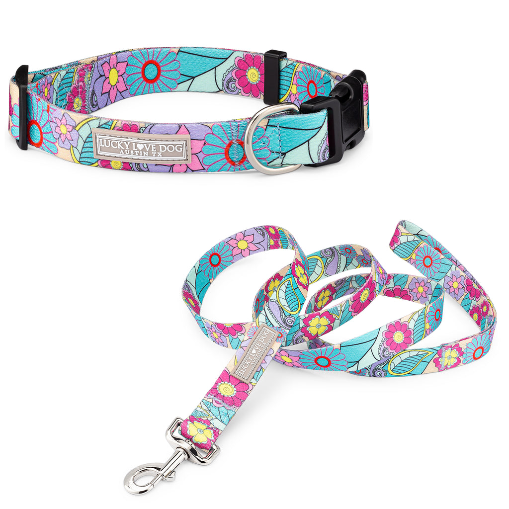 bright retro flower dog collar with a buckle and leash set