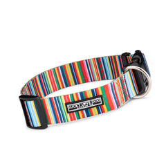 rainbow striped wide dog collar front