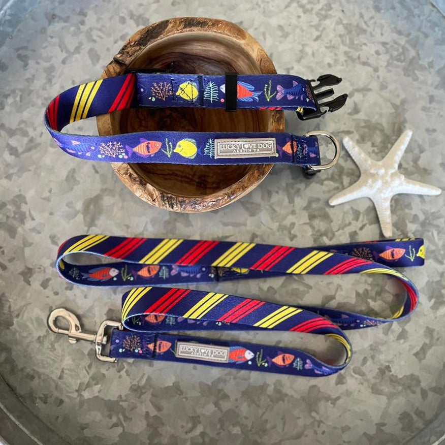 blue tropical fish dog collar and leash on tray