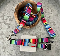 fiesta striped dog collar and dog leash