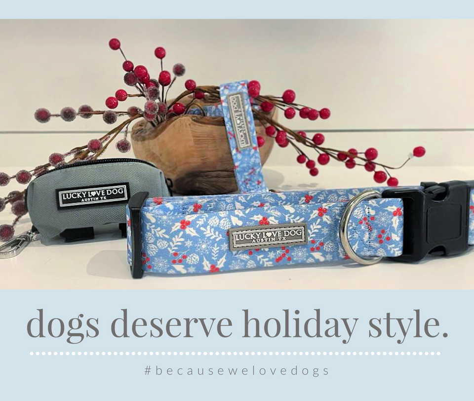 winter blue hoilday wide dog collar