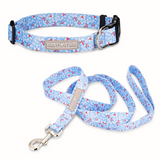 blue winter holiday berries dog collar and leash