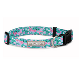 dog collar with butterflies on green