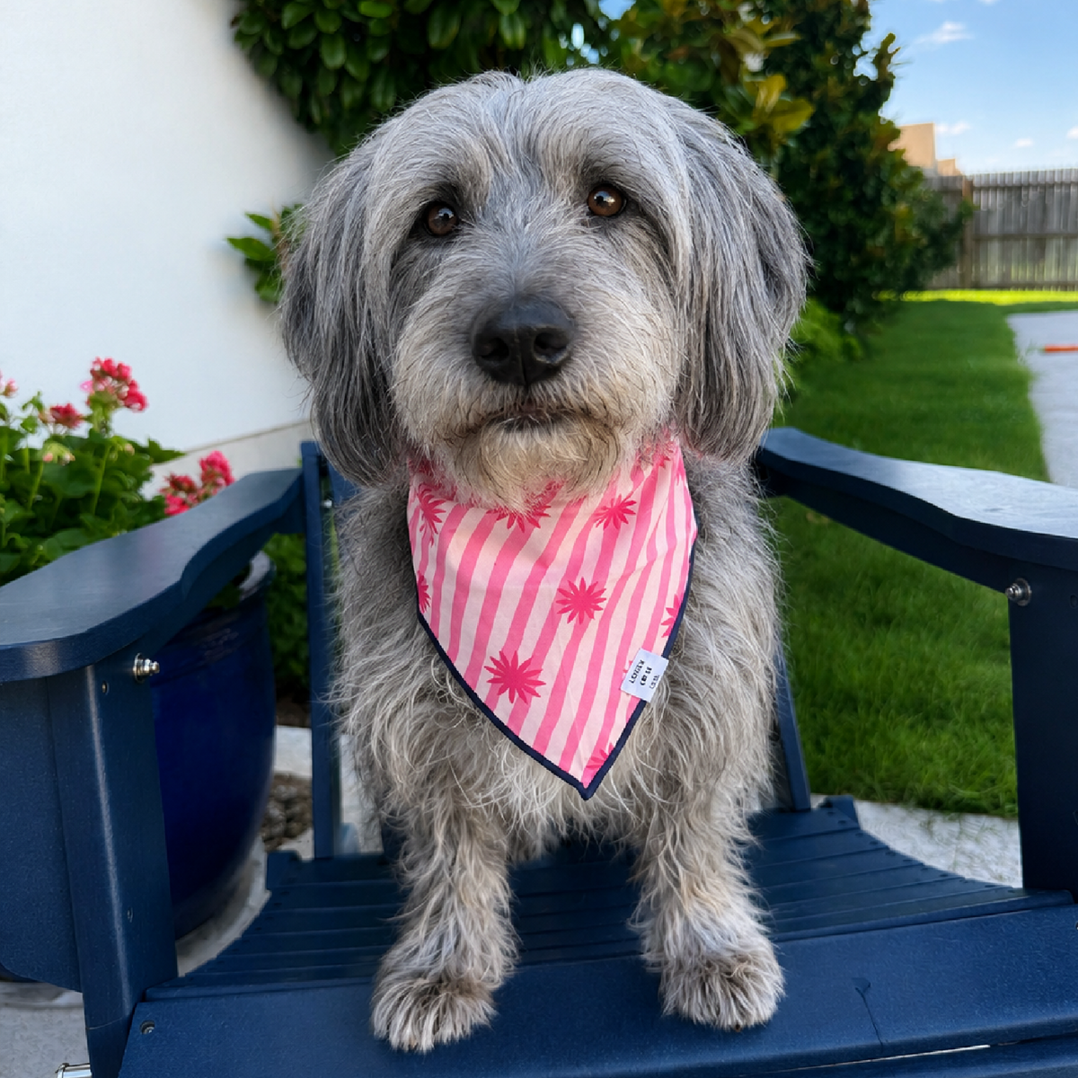 pink stripe floral dog bandana