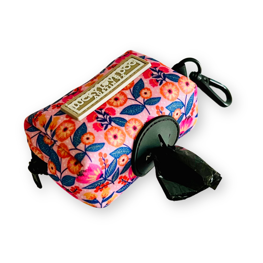 Rosie Complete Walking Set