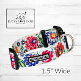 WIDE Ladybird Collar