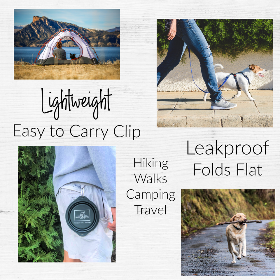 A marketing collage features lifestyle images of dogs camping and walking alongside a dark grey collapsible bowl clipped to a person's shorts to highlight its lightweight, leakproof, and travel-friendly design.