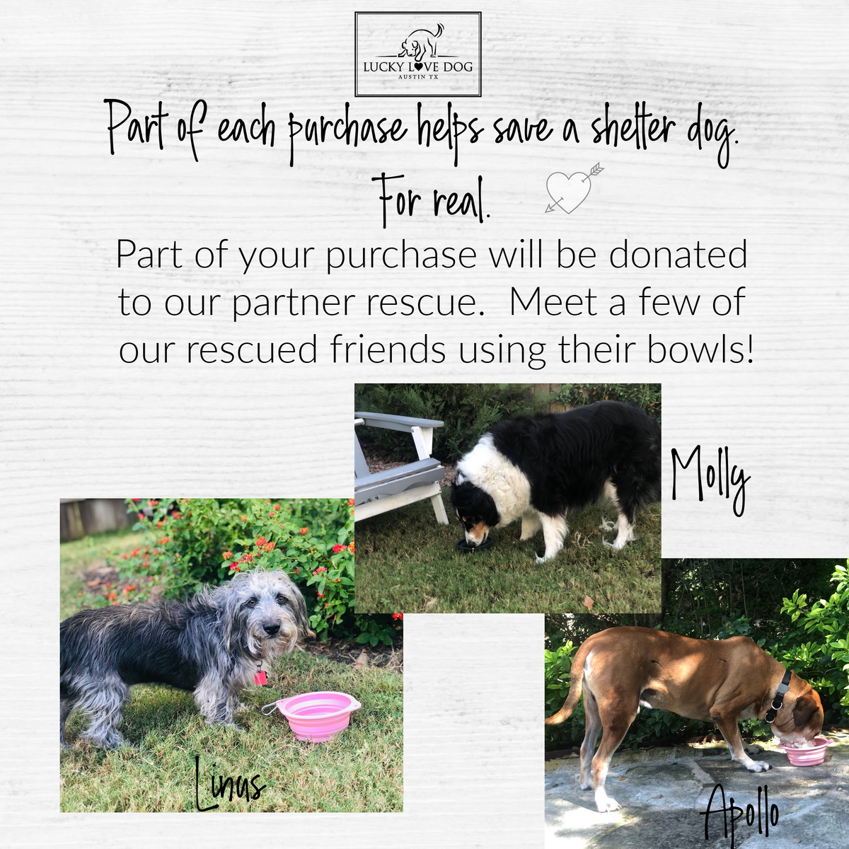 Steel Grey Travel Dog Bowl