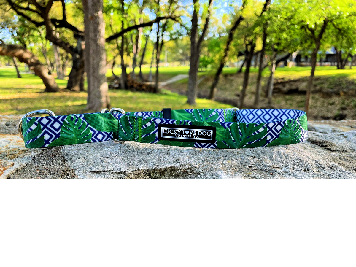 Laguna - Blue Martingale
