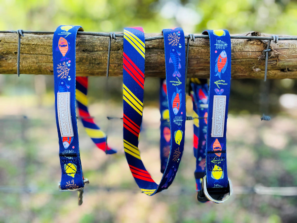 Mackey Martingale
