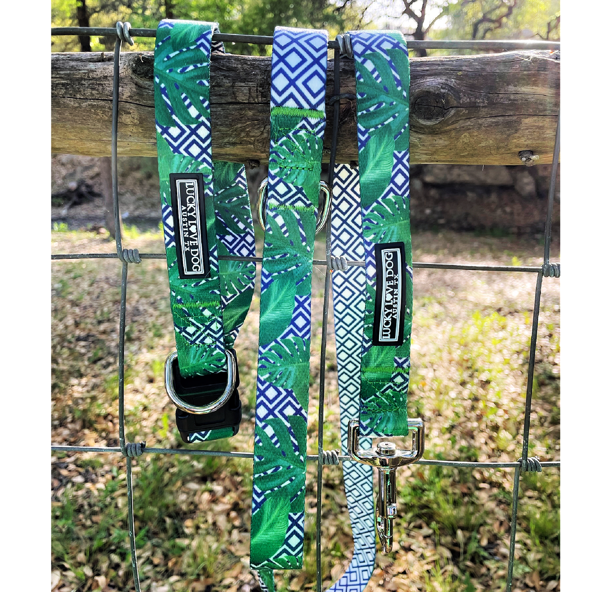 palm beach chic male tropical dog leash and collar