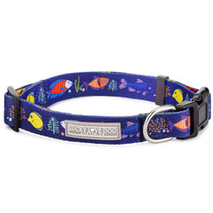 blue tropical fish dog collar
