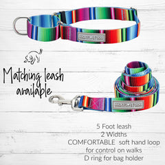 bold fiesta striped martingale dog collar and leash combo